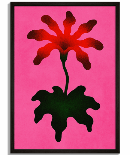 Moderné obrazy na stenu - Abstraktná ilustrácia kvetu Bloom na ružovom pozadí - čierny rám - decorme.sk