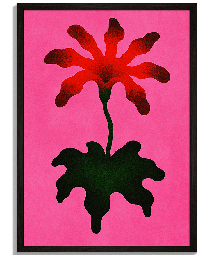 Bloom | Moderná Grafika Moderné obrazy na stenu - Abstraktná ilustrácia kvetu Bloom na ružovom pozadí - čierny rám - decorme.sk