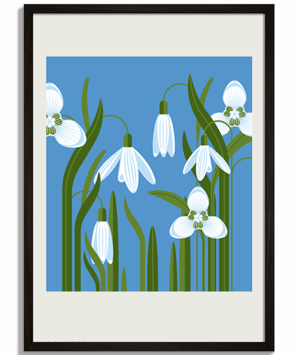 Moderné obrazy na stenu - Ilustrácia bielych snežienok na modrom pozadí Snowdrops - čierny rám - decorme.sk