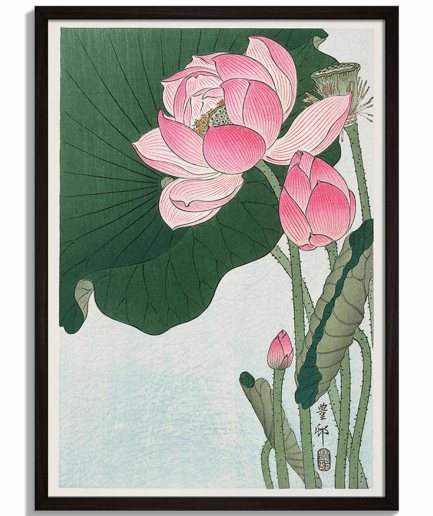 Moderné obrazy na stenu - Japonský drevorez Kvitnúci lotos od Ohara Koson - Blooming Lotus Flowers - čierny rám - decorme.sk
