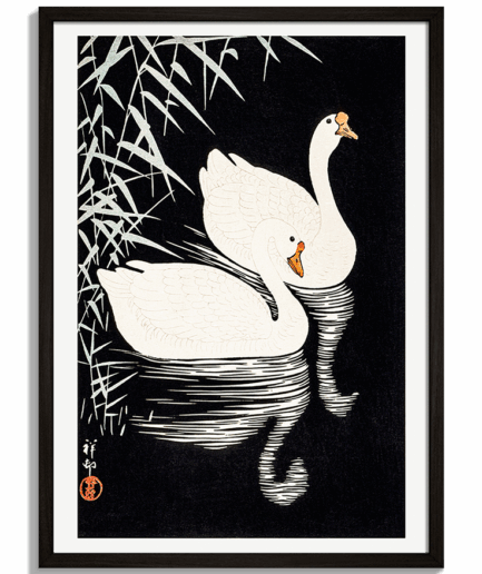 Moderné obrazy na stenu - Ilustrácia dvoch bielych labutí na tmavej vode v japonskom štýle Two Swans - čierny rám - decorme.sk