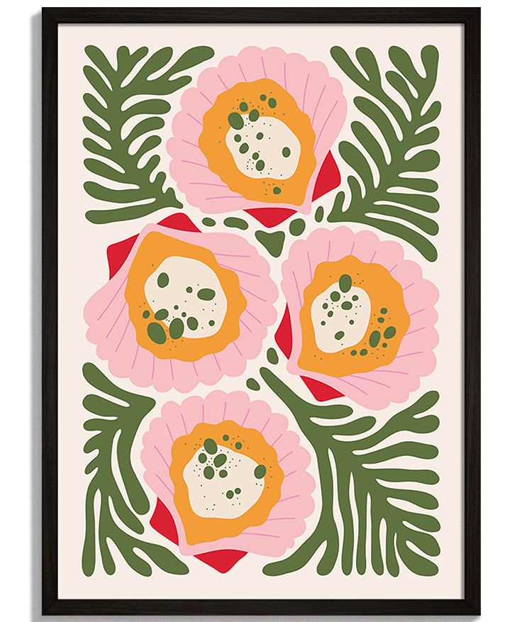 Scallops | Moderná Ilustrácia Moderné obrazy na stenu - Ilustrácia štyroch ružových mušlí hrebenatiek s morskými riasami Scallops - čierny rám - decorme.sk