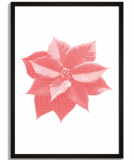 Obrazy s prírodnými motívmi a botanikou - Červený kvet v poltónovej grafike Dot Bloom - čierny rám - decorme.sk